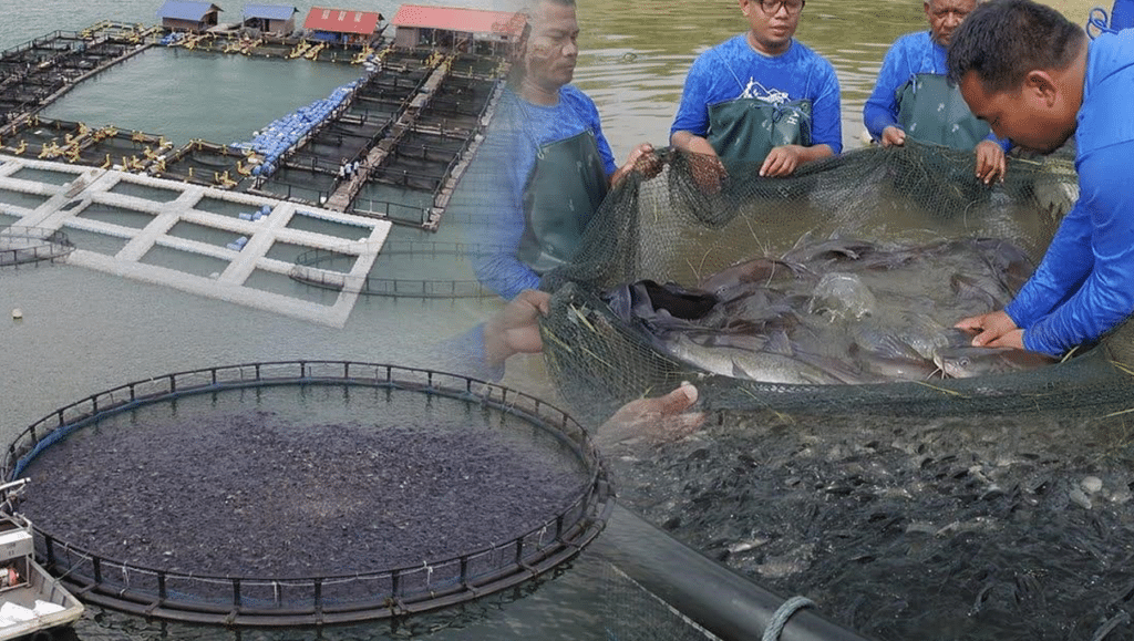 マレーシアの産業に関する洞察 - 第一次産業